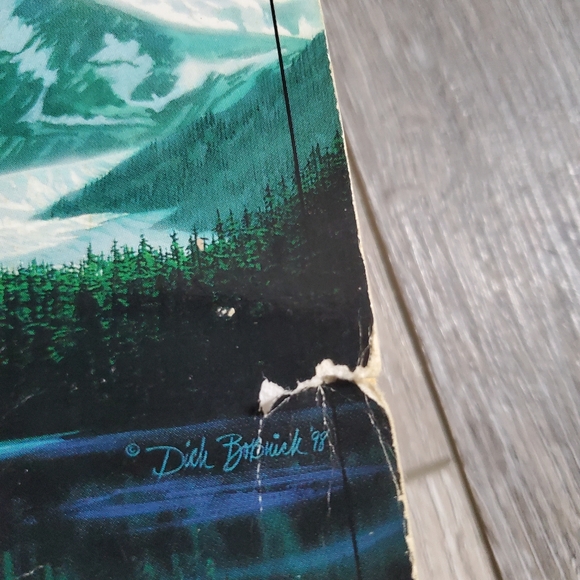 Alaska by Tracie Peterson - Picture 4 of 7